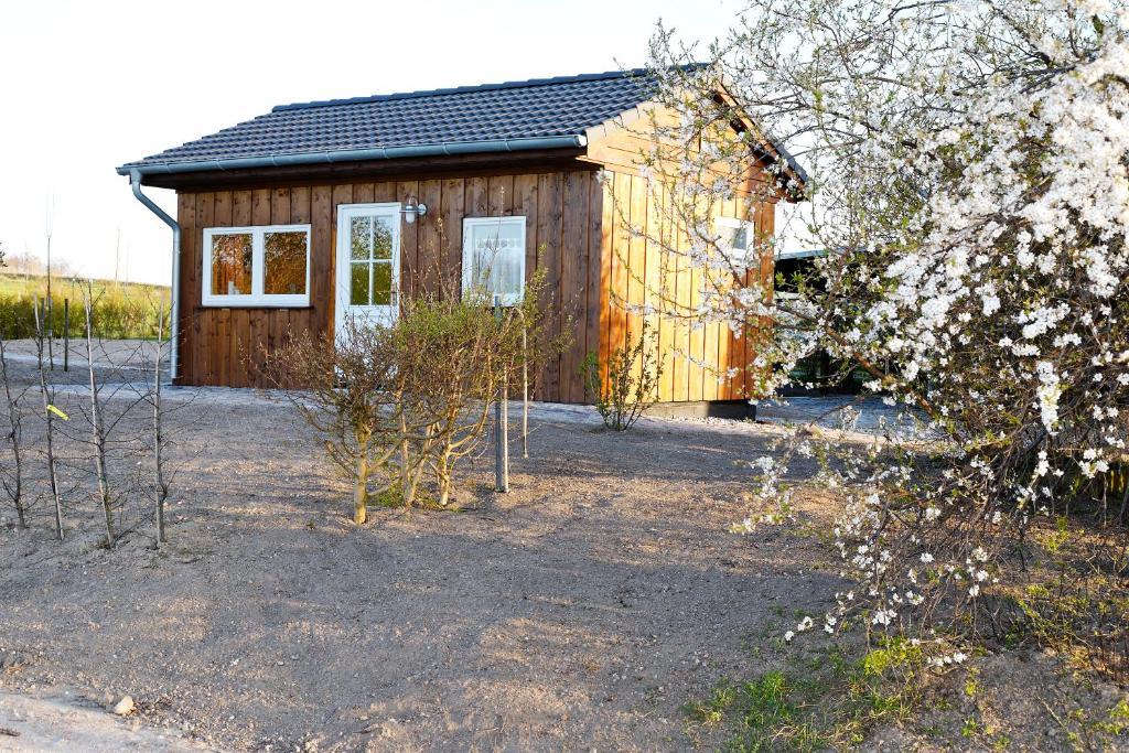 Appartement Vogelhaus Gobbin à Lancken-Granitz Extérieur photo